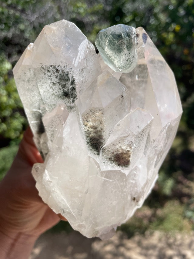 Chlorite Quartz Raw Formation