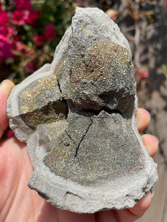 Rainbow Pyrite