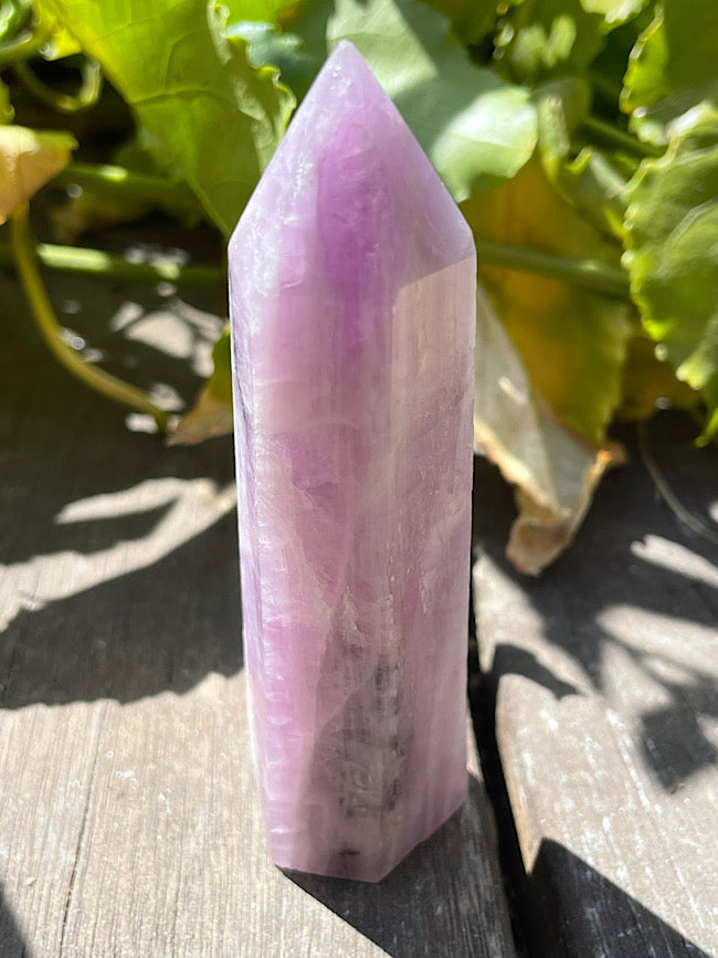 Kunzite Point with Black Tourmaline