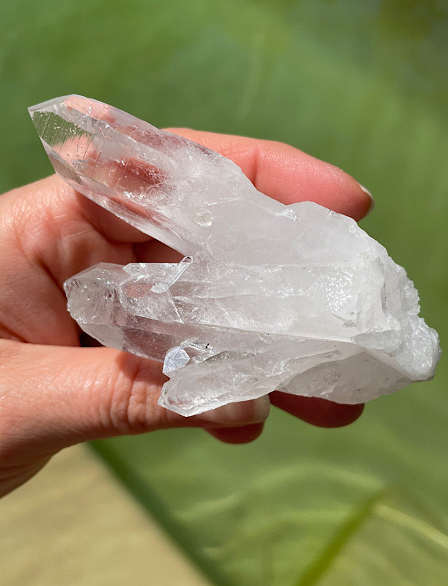 Columbian Lemurian Quartz