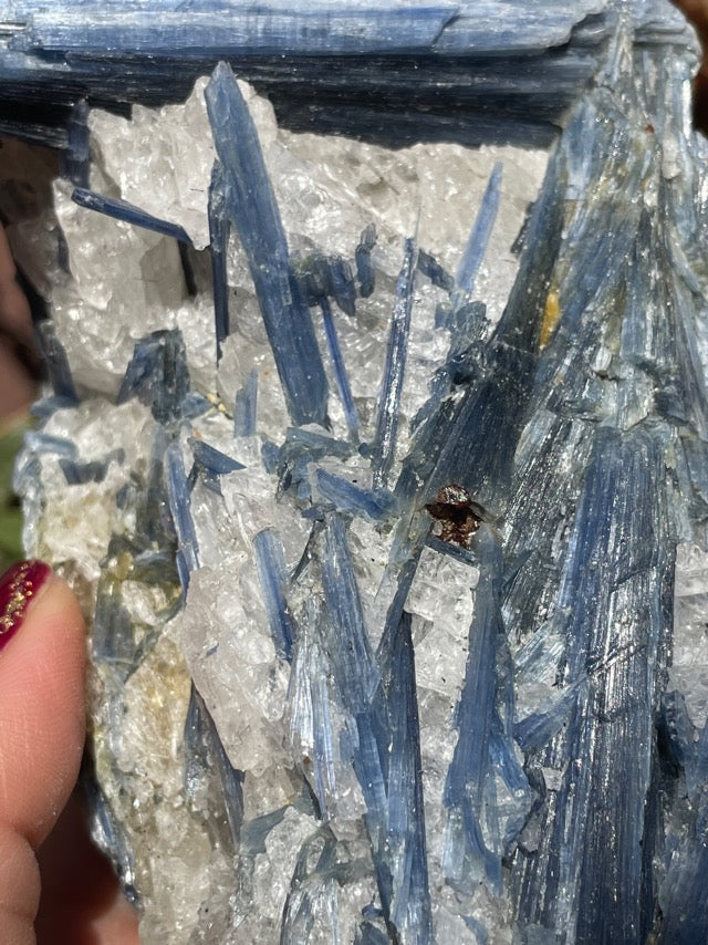 Large Blue Kyanite on Quartz Matrix