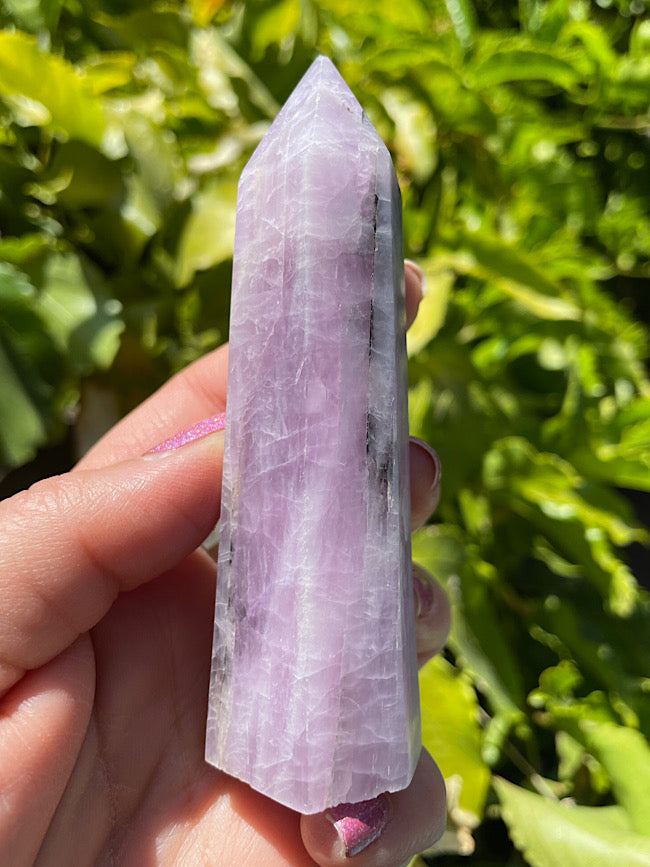 Kunzite Point with Black Tourmaline