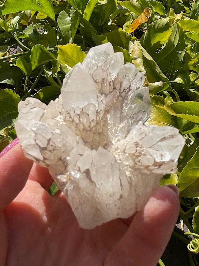 Candle Quartz Cluster