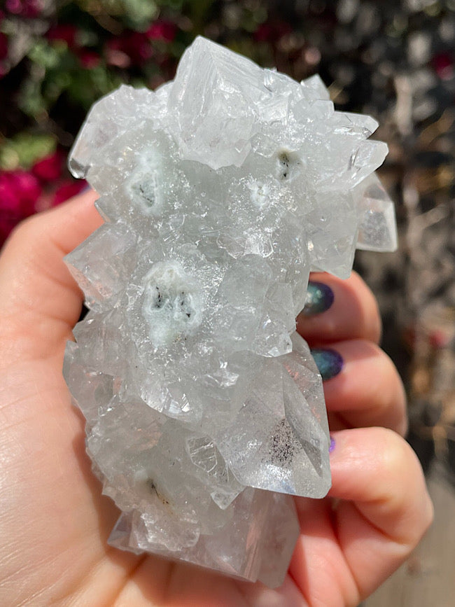 Apophylite & Mordenite