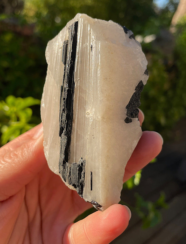 Black Tourmaline in Quartz Matrix