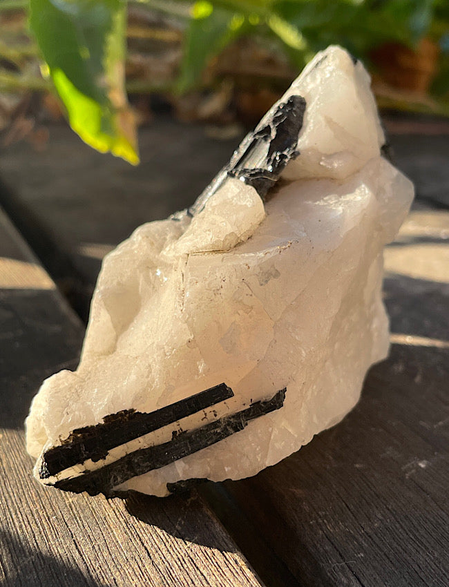 Black Tourmaline in Quartz Matrix