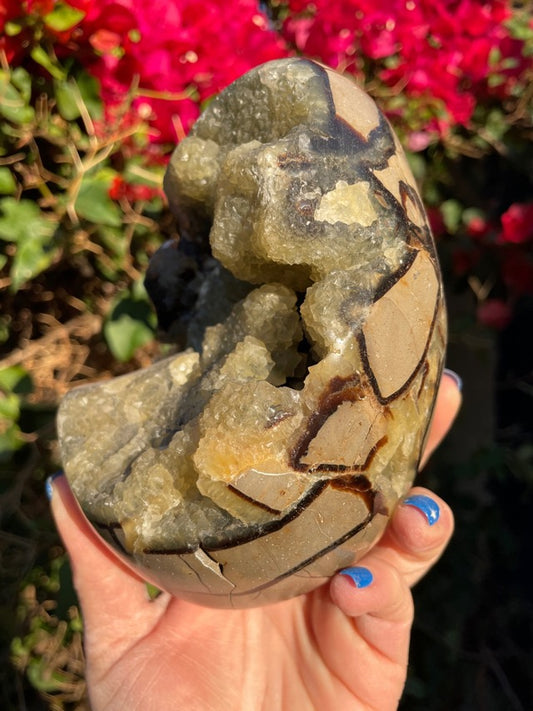 Septarian Geode “Dragon Egg”