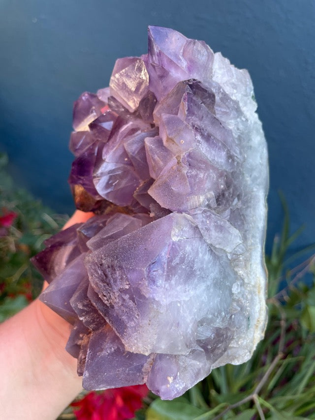 Large Amethyst Cluster