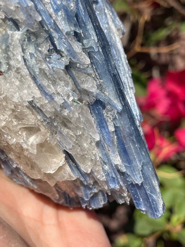 Large Blue Kyanite on Quartz Matrix