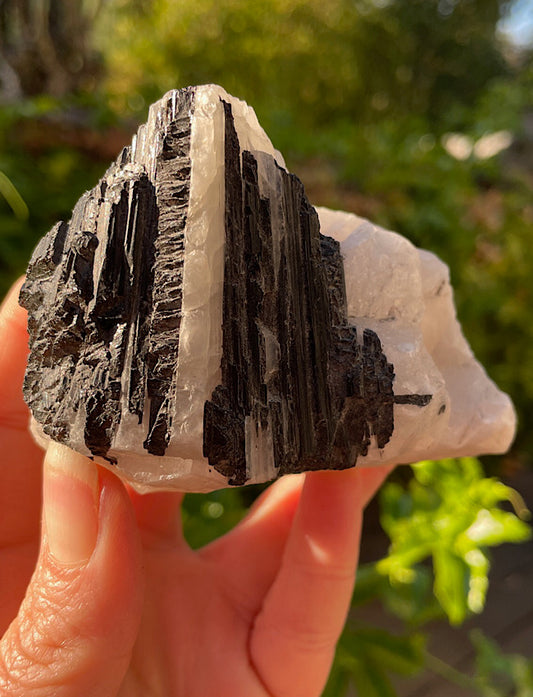 Black Tourmaline in Quartz Matrix