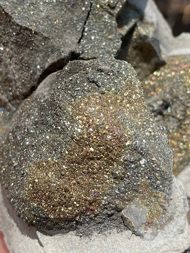 Rainbow Pyrite