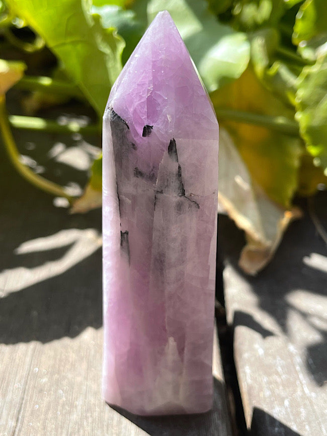 Kunzite Point with Black Tourmaline