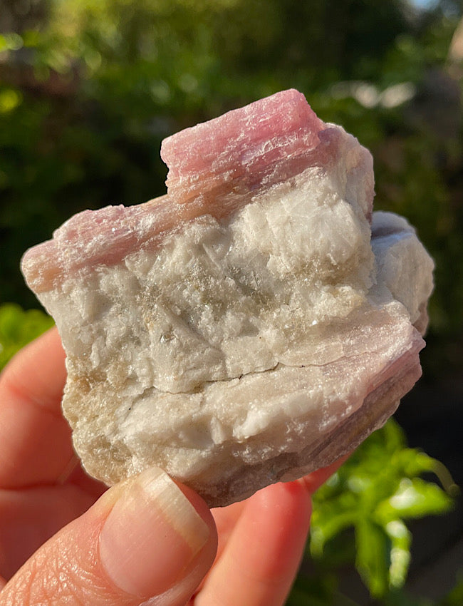 Pink Tourmaline In Quartz Matrix