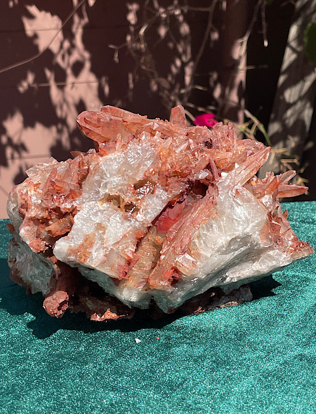 Extra Large Moroccan Red Quartz Cluster