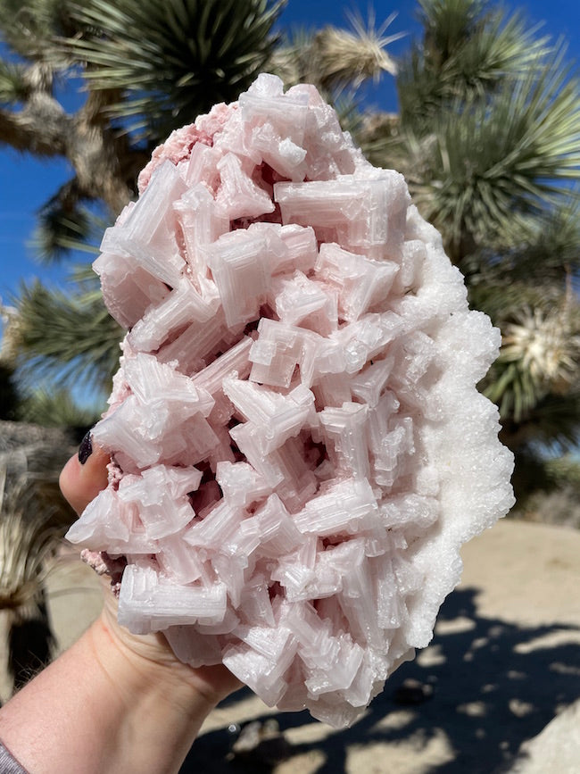 Pink Halite